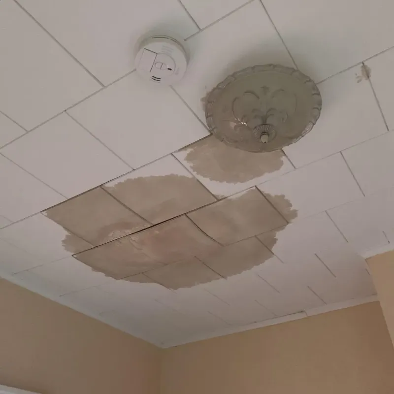 Ceiling Water Damage Repair in Wood County, WV