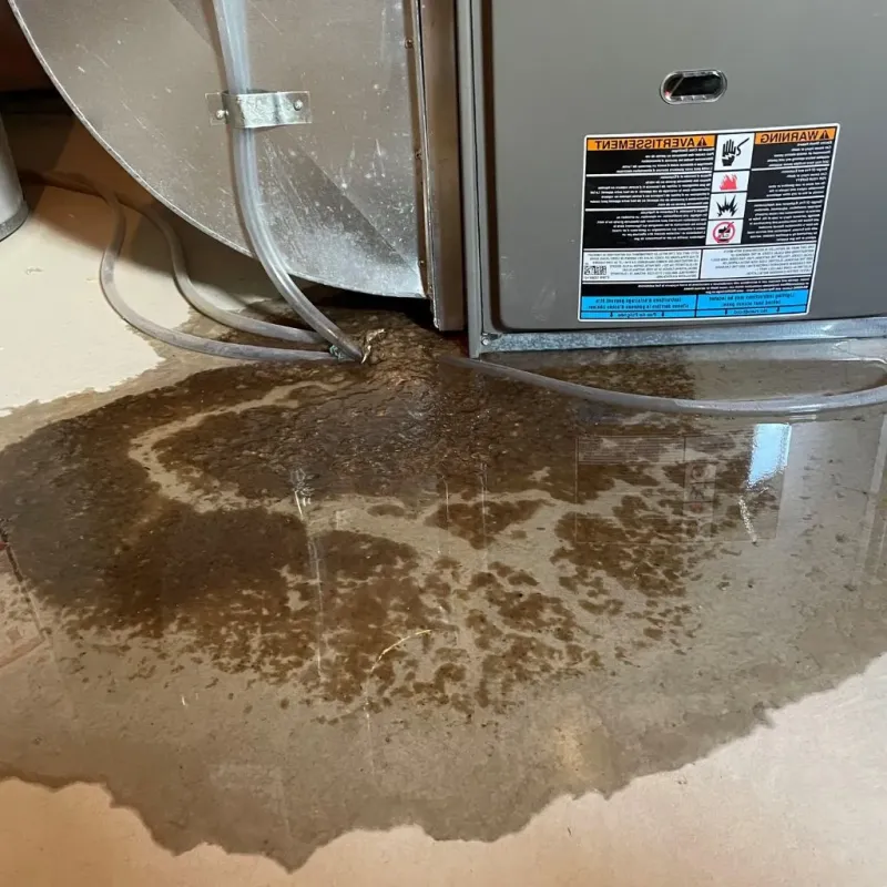 Pipe Burst and Leak Restoration in Wood County, WV