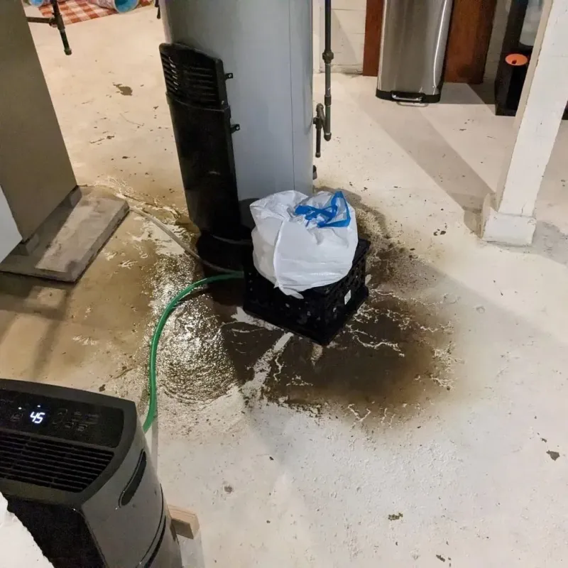 Sewage Backup Cleanup Service in Wood County, WV